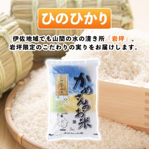 B5-01-C かめさんのお米(ひのひかり5kg×2袋＋なつほのか5kg×1袋・計15kg) 伊佐米 米 コメ 白米 精米 ごはん ご飯 ヒノヒカリ ナツホノカ 5kg 単一原料米 【Farm-K】