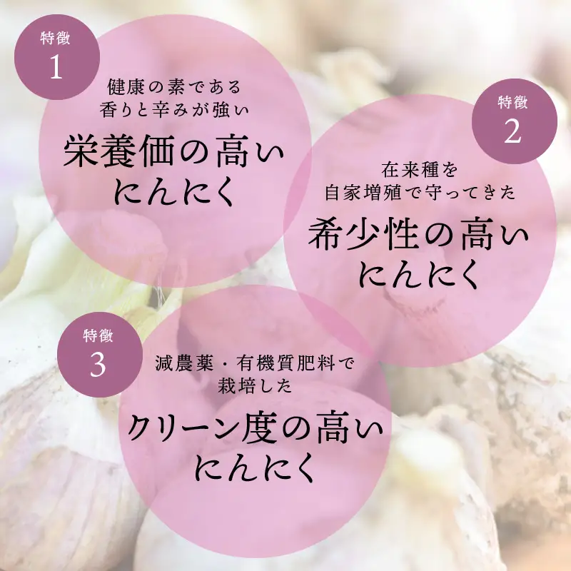 北海道常呂産 黒にんにく 100g×3 ( 北海道産 野菜 にんにく ニンニク )【009-0007】