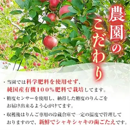 【りんご品評会最高賞】「サンふじ」約3kg・糖度14度以上保証・訳あり 家庭用 りんご_りんご 林檎 リンゴ サンふじ 果物 くだもの フルーツ 青森 りんご品評会 青森市長賞 訳あり 規格外 傷 不揃い おすすめ 人気 家庭用 人気 おすすめ_【配送不可地域：離島】【1106865】