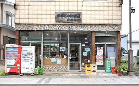 東の麓 古酒＆熟成酒セット 「大吟醸古酒10年 大銀杏 & 熟成原酒 秘造酒」各720ml 『東の麓酒造』 日本酒 2本セット 飲み比べ 山形県 南陽市 [742]