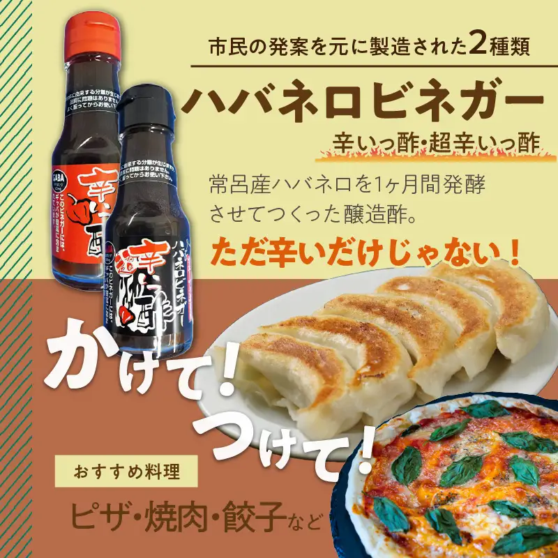 酢4本とおにおんスパイス1本 ( 酢 お酢 玉葱 タマネギ たまねぎ オニオンスパイス セット )【117-0003】