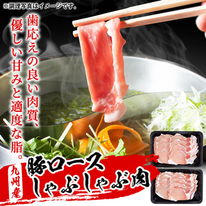 鹿児島県産 黒毛和牛 ロースステーキ(計400g) 九州産豚 しゃぶしゃぶ用(計500g) a8-067