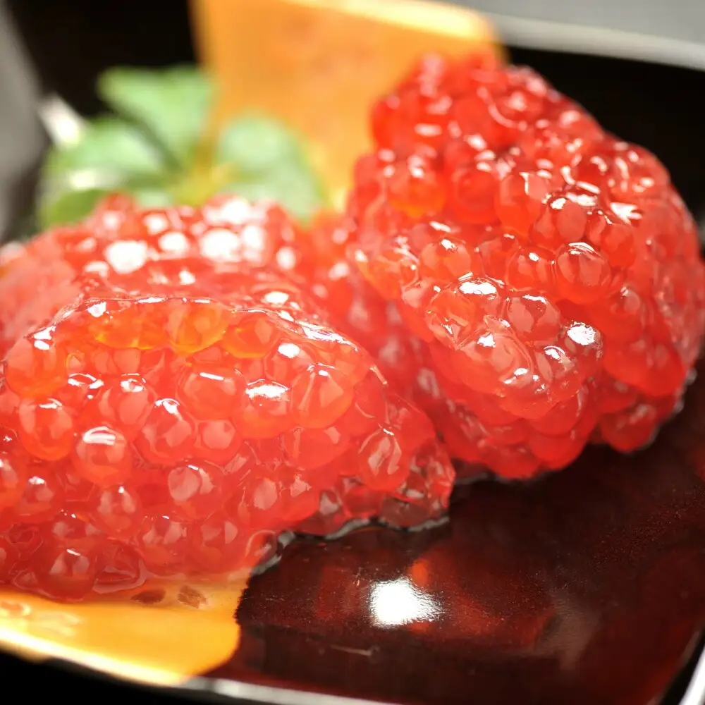 【北海道知床産】鮭筋子(塩漬) 500g すじこ 筋子