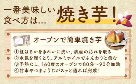 紅はるか 芋 10kg 紅はるか　芋《11月上旬-2月中旬頃出荷》