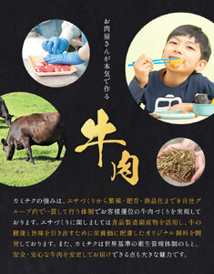 黒毛和牛コロッケ＆メンチカツセット 35個 コロッケ