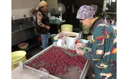 梅干し（大梅）と赤しそふりかけのセット 無添加梅干し｜多気町産 TH-03