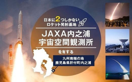 【C57001】「宙の家限定」 2種から選べる！オリジナルネックレス(1本) ロケット 宇宙 ジュエリー ネックレス アクセサリー ギフト プレゼント 【一般社団法人きもつき宇宙協議会】
