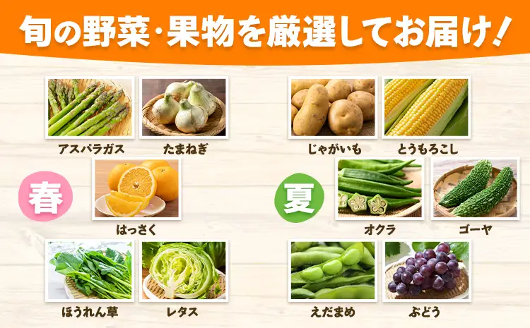野菜詰合せセット 8-12品 野菜セット 果物