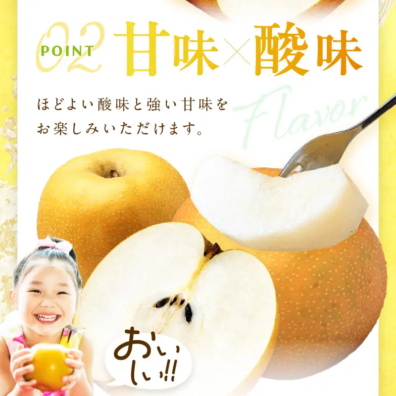 梨／あきばえ	【先行予約】あきばえ梨 5kg（2026年8月中旬～発送）