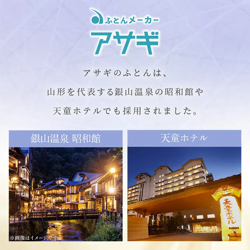 ニューゴールドラベル ダウン 85％羽毛布団[シングルロング] FY23-190