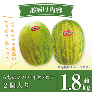 i456 ＜2026年4月中旬~5月中旬の間に発送予定＞うちののパパイヤメロン(計約1.8kg・2個入) メロン パパイヤメロン 果物 くだもの フルーツ 期間限定 数量限定 旬 立体栽培 シャキシャキ食感 ギフト 贈り物 おやつ 【山ん神】