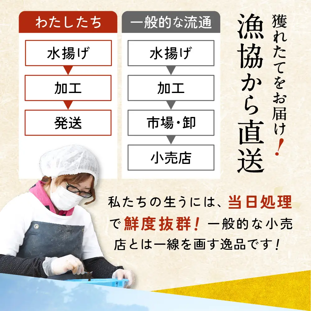 生うに 2026年発送先行予約 無添加 生うに 250g 塩水パック