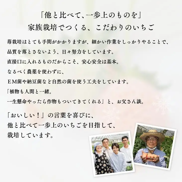 【先行予約】白いちご「淡雪」・2パック入×1箱 | 豊後高田市 白いちご