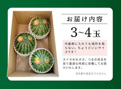 SA2885　山形県産 小玉スイカ 姫甘泉 「ルパン」　7kg以上(3～4玉入) 朝採り 農家直送