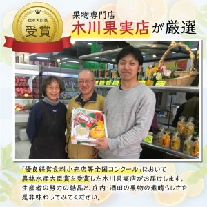 SC0686　酒田の果物専門店厳選　庄内産 小玉すいか　約8kg(4～5玉入)