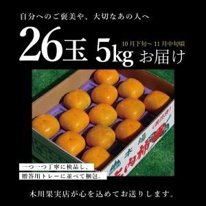 SB0903　酒田の果物専門店厳選　庄内柿(種なし柿)　約5kg(26玉入) 【贈答用仕様】