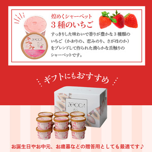 いちごジェラート詰め合わせ(12個入り)_いちご ジェラート 3種類 × 各 4個 100ml 計 12個 詰め合わせ プレミアム いちごミルク あまおう ヨーグルト ホワイトショコラ 紅ほっぺ 煌めく シャーベット かおりの 恋みのり さがほのか ブレンド 誕生日 お中元 ギフト用 おすすめ 久留米市 送料無料 〔Dw014〕