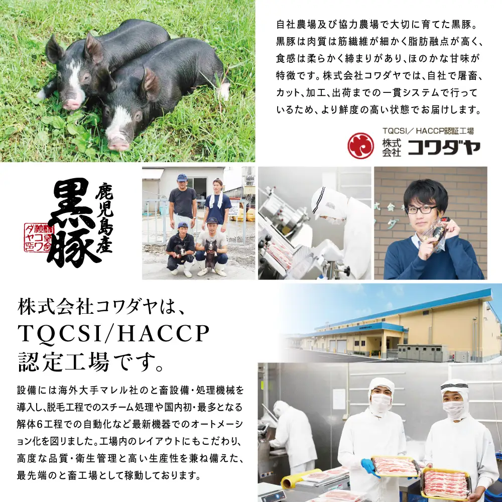 鹿児島県産 黒豚切り落とし 計1.2kg(150g×8P)［生姜焼たれ付き］ 小分けパック おかず しょうが焼き 簡単 お手軽 冷凍 食品 夕飯 お弁当 豚丼 国産 コワダヤ