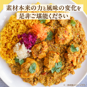 パキスタンチキンカレー_久留米 さざなみどり パキスタン チキンカレー 180g × 5パック FLAVORオリジナル ガラムマサラ カレー カレーライス 時短 レトルト 食品 加工品 肉加工品 惣菜 福岡県 久留米市 お取り寄せ お取り寄せグルメ 送料無料 〔Ca013〕