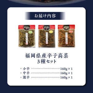 福岡県産辛子高菜3種セット_辛子高菜 3種 セット 160g×3 小辛 中辛 激辛 唐辛子 高菜 おにぎり 漬物 高菜漬け 漬物語り お弁当 ラーメン チャーハン パスタ ごはんのお供 福岡県産 九州 食品 福岡県 久留米市 お取り寄せ お取り寄せグルメ 送料無料 〔Ca207〕
