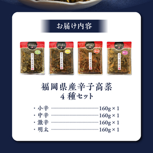 【明太味がリニューアル！】福岡県産辛子高菜4種セット_福岡県産 辛子高菜 4種 セット 各 160g 計 640g 小辛 辛さ控えめ まろやか 中辛 ピリッとした辛さ 一番人気 激辛 複数 唐辛子 辛い物好き 必見 明太 明太子 旨味 相乗効果 九州の味 高菜漬 ご飯のお供 ラーメン 高菜チャーハン おにぎり アレンジ 送料無料 〔Ca208〕