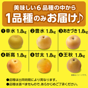 ※贈答用※【フルトリエ】100年以上続く梨農家の完熟梨小箱(1.8kg)_【贈答用】梨 1.8kg 幸水 豊水 あきづき 新高 甘太 王秋 完熟梨 いずれか1種類 フルトリエ 中村果樹園 100年続くフルーツ農家 発送当日の朝に収穫 福岡県 久留米市 お取り寄せ フルーツ 果物 ギフト 贈り物 送料無料 〔Fn102〕