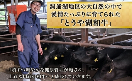 北海道 とうや湖和牛 肩ロース すき焼き用 500g 黒毛和種 黒毛和牛 霜降り ロース 和牛 国産牛 A4ランク 幻の和牛 ブランド牛 牛肉 赤身 甘い すき焼き とうや湖農業協同組合 送料無料 お肉 洞爺湖和牛 