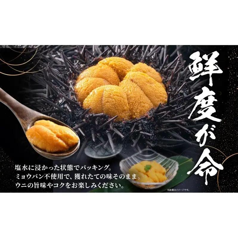 ミョウバン不使用 塩水 ウニ100g 2パック 7月下旬頃までお届け  [水揚げ後 順次出荷]  キタムラサキウニ うに ウニ 雲丹 ムラサキウニ 北海道産 魚貝 魚介 海鮮 海産 小川商店 送料無料 北海道 洞爺湖