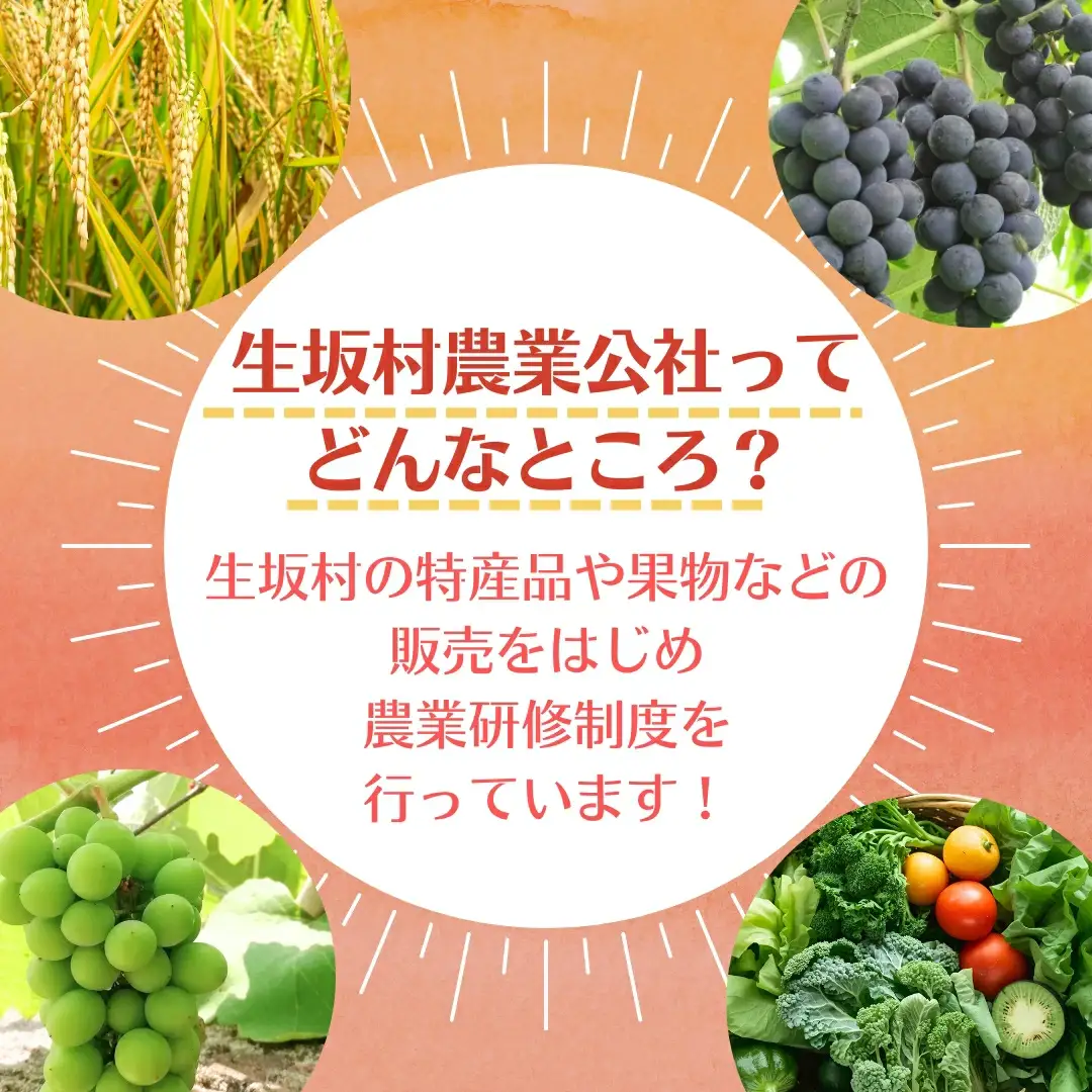かあさん家 手作りジュースセット (巨峰・梅・しそ) 手作りジュースセット 生坂村農業公社 | 手作りジュースセット