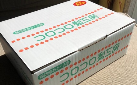 梨 豊水 まるで食べる梨ジュース！！ 甘熟 豊水梨 約2.5kg 4～7玉入 配送不可 離島 ナシ 果物 フルーツ 先行予約 