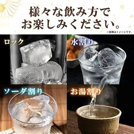 大分むぎ焼酎 二階堂 豊後路・吉四六瓶 セット AG11_大分むぎ焼酎 二階堂 麦焼酎 焼酎 酒 飲み比べ_【1078138】