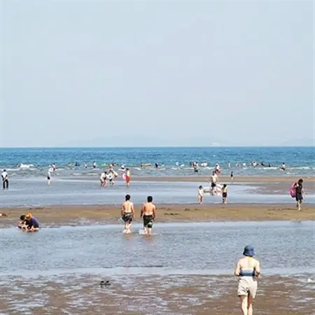 【キャンプ場で遊ぼう!】糸ヶ浜海浜公園ログキャビン1泊券(1棟分)_旅行券・チケット 宿泊券  _【1089436】