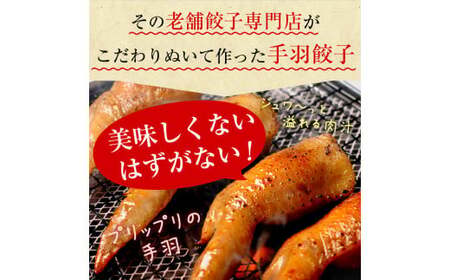【宮崎空港で大人気!】TV某番組で餃子日本一獲得!＜馬渡の手羽餃子18本＞翌月末迄に順次出荷 餃子の馬渡 手羽先餃子 国産100％ 宮崎餃子 ギョウザ ギョーザ おかず もっちり 国産 特産品 宮崎県 高鍋町 たかなべ 冷凍【TVで話題沸騰！】【c002_mw_x3】