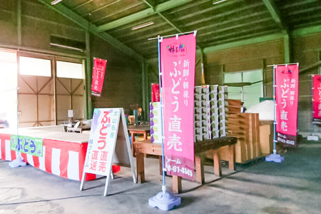【予約受付・数量限定】犬山産 完熟 種なし 巨峰2キロ [0489]