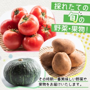 i460 旬の野菜・果物おまかせセット(8～10種類)ツルの恩返し野菜セット！鹿児島県出水市より国産野菜を市場直送！  野菜 果物 くだもの 詰め合わせ セット 国産 鹿児島県産 市場直送 旬 季節 何が届くかはお楽しみ【出水市出水駅観光特産品館 飛来里】