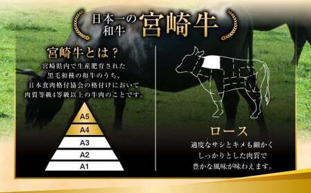 ＜特選宮崎牛ロースステーキ 1kg＋ブランドポーク100g×5枚＞入金確認後、翌月末迄に順次出荷【c057_hn_x4】