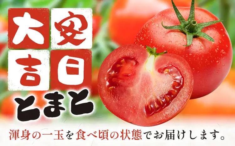 トマト とまと 大安吉日とまと 約1.2kg M玉 9個 《11月上旬-6月中旬頃出荷》 市囿庄一 鹿児島県 さつま町 野菜