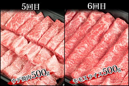 【定期便 6回】受賞歴多数!! 宮崎牛を6ヶ月で合計3.25キロ 宮崎牛づくし 牛肉 和牛 肉 肩ロース ばら うで もも すき焼き 焼肉 BBQ MT-38
