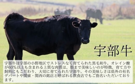 ★離島配送不可★【宇部牛】サーロインステーキ 2枚 640g｜牛肉 焼肉 ステーキ【AX01_1】