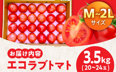 トマト【5月上旬から順次発送】エコラブ トマト （20から24玉入）約3.5kg[AGBN012]