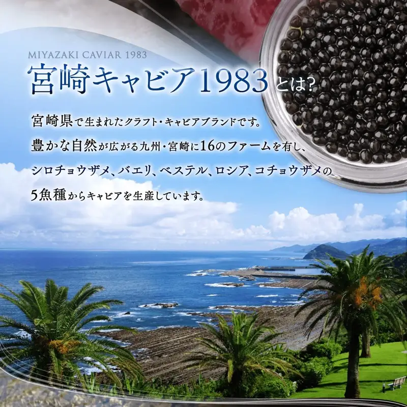 《宮崎市限定 宮崎キャビア1983》祇園さゝ木オリジナル CAVIAR JAPAN SASAKI (20g) 国産 宮崎県産 キャビア 20g 和キャビア オリジナル 日本料理 和食 珍味 ギフト 化粧箱入り