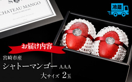 《2026年発送先行予約》【数量・期間限定】シャトーマンゴー(大) AAA 2玉 宮崎マンゴー シャトーマンゴー フルーツ 果物 果実 スイーツ 完熟 まんごー くだもの ギフト 人気 おすすめ 特産品 お土産 土産 手土産
