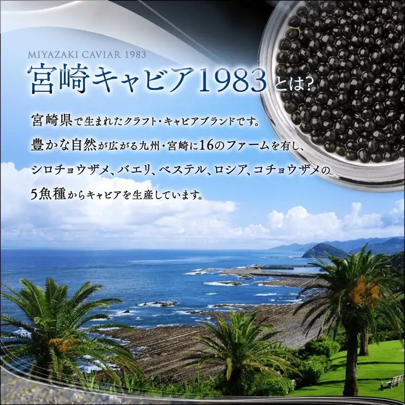 【定期便全4回】チョウザメ1尾分のキャビアを1年でお届け 定期便 国産 宮崎県産 キャビア 4回 チョウザメ 長期熟成 珍味 ギフト 化粧箱入り