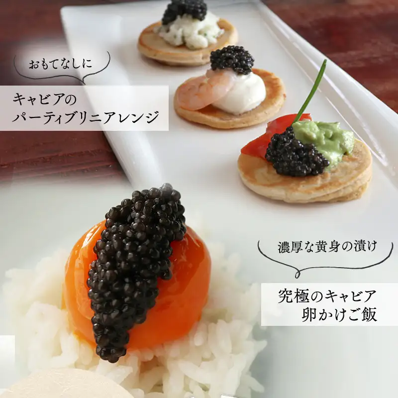 宮崎キャビア1983 バエリ (60g) 国産 宮崎県産 キャビア 60g チョウザメ 長期熟成 珍味 ギフト 化粧箱入り