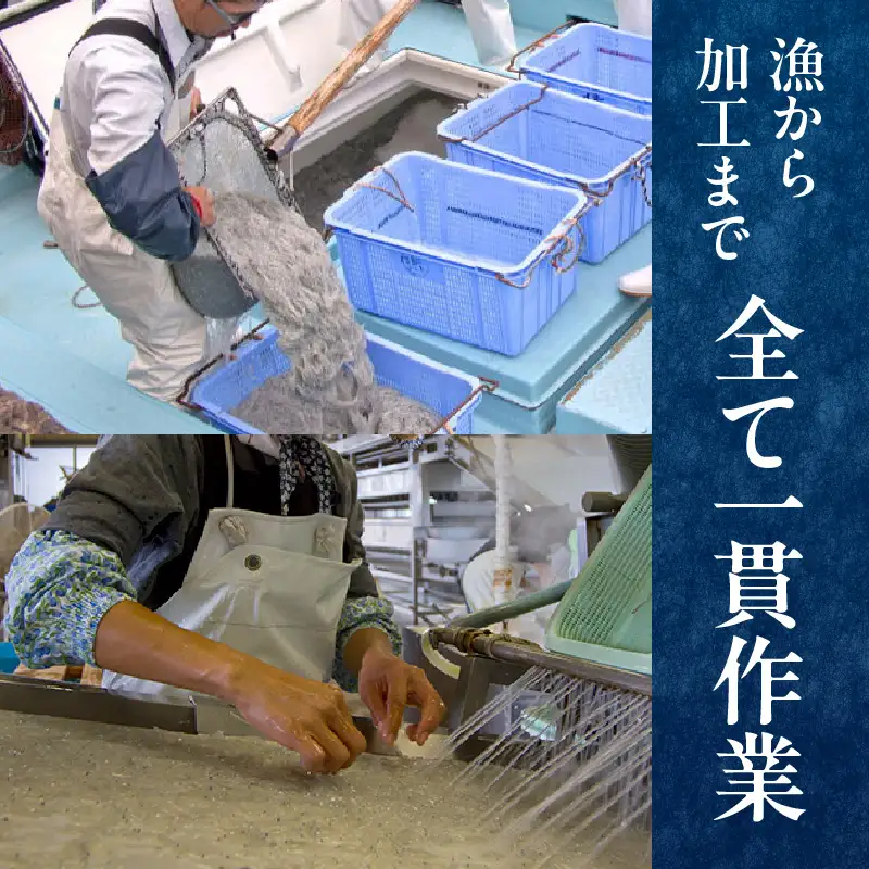 浜ちり(天日干しちりめん)125g×3(計375g) ちりめん 125g 3袋 ちりめんじゃこ 天日干し しらす干し 大根おろし かき揚げ 卵とじ 酢の物 焼きめし サラダ ご飯 ご飯のお供 ごはんのおとも