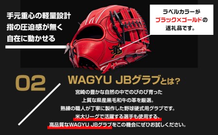 宮崎県産牛革使用 WAGYU JB 硬式用 グラブ 内野手用 JB-006(パワーオレンジ/右投げ用)