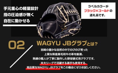 宮崎県産牛革使用 WAGYU JB 硬式用 グラブ 内野手用 JB-006(ブラック/右投げ用)