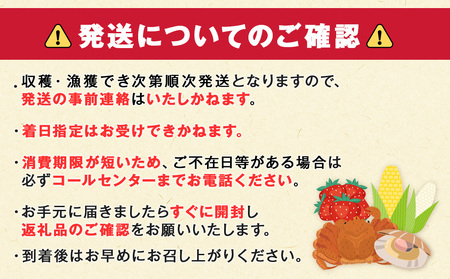 2026年夏発送 キリンラガービール 350ｍl 12缶＆白いとうもろこしピュアホワイト10本