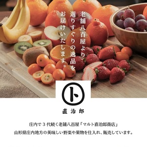 SA2947　庄内砂丘の旬夏　「秀品 アンデスメロン」　約5kg(青肉/4～6玉入)