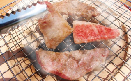 博多和牛焼肉用（バラ）600g[H2253]